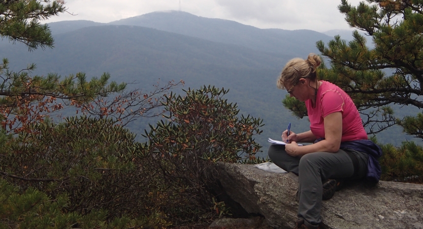 A person sits on a rock journaling above a vast mountain landscape. 